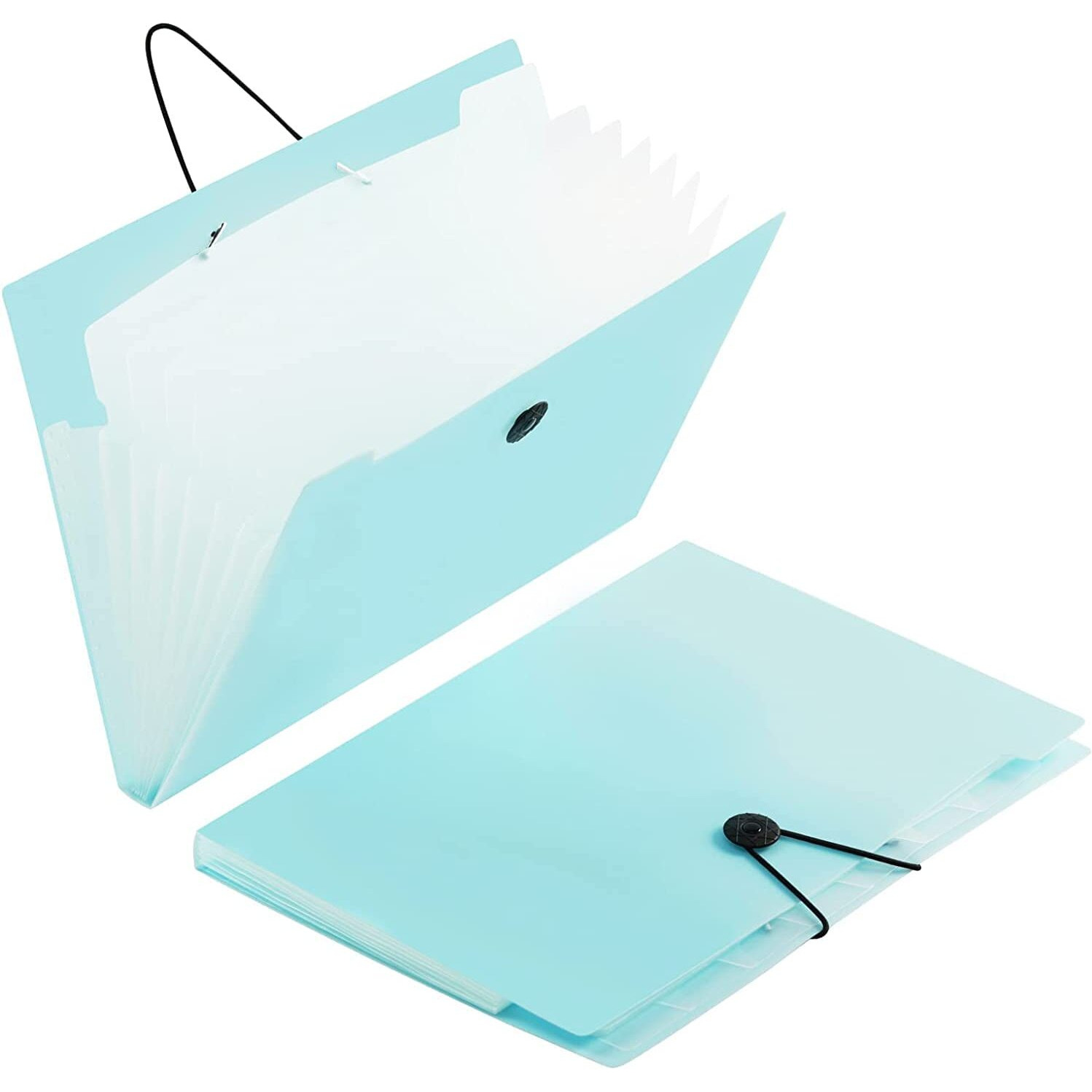 SKYFUN (LABEL) Plastic Reusable File Project Folders Paper Documents with Pockets Labels Letter Size for Home, Office, School Work (5 Pockets)