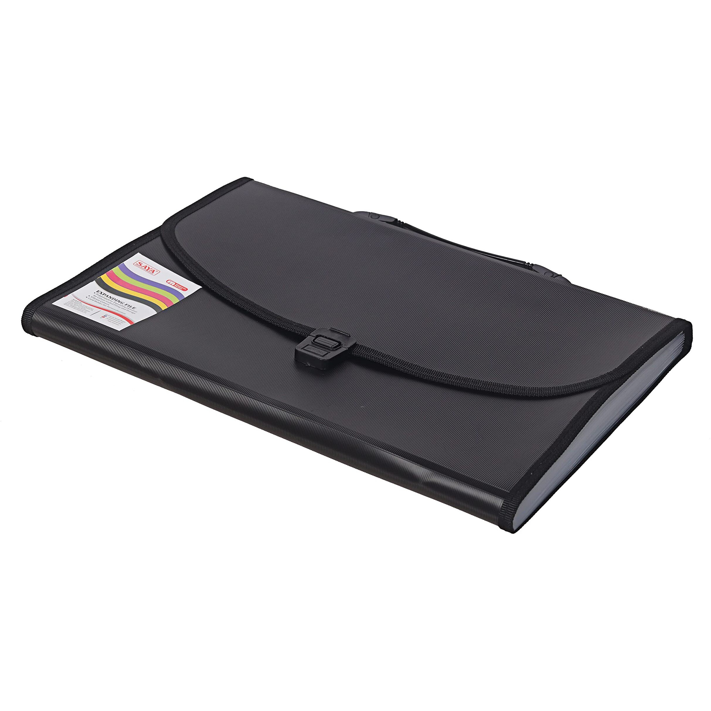 SAYA Expanding File Vibrant -FS (Set of 1, Metallic Grey)