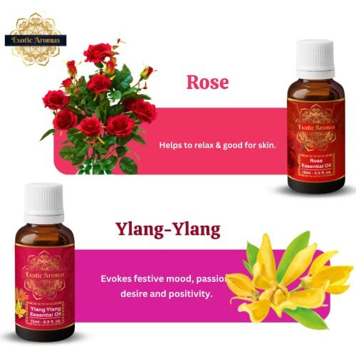 Exotic Aromas Essential Oil - Lavender Oil, Sandalwood Oil, Jasmine Oil, Rose Oil, Ylang Ylang Oil (Pack Of 5)
