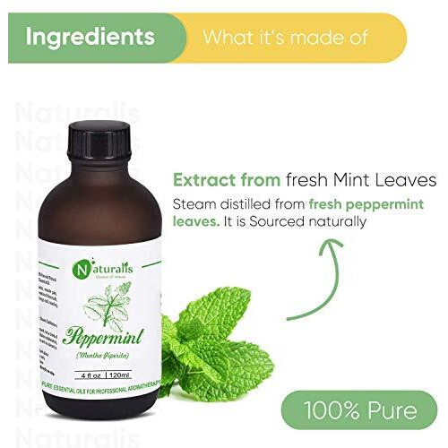 Naturalis Peppermint Oil  Pure Therapeutic Grade Peppermint Essential Oil For Hair, Skin Care, Steaming, Diffuser & Aromatherapy  Soothing Relief  120Ml