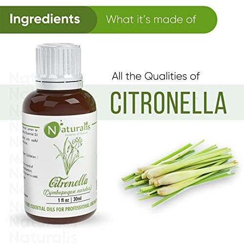 Naturalis Citronella Essential Oil - Natural Citronella Oil For Aroma Therapy, Skin Care, Hair Treatment, Mosquito Repellent, Relaxation, And Wellness - Pure Essential Oil - 30Ml