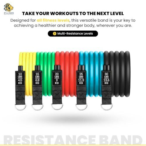 Pro365 Premium Resistance Bands With Door Anchor & Foam Handles, Weight Display Toning Tubes, Carrying Bag And Ankle Straps Included (1 Year Brand Warranty)