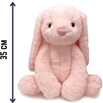 Audbot Long Ear Bunny Soft Toys For Kids - 1 Feet (Peach) | Stuffed Animal Plush Rabbit Toy | Cute Peach Plushie For Girls, Boys & Babies | Toys Gift For Girlfriend