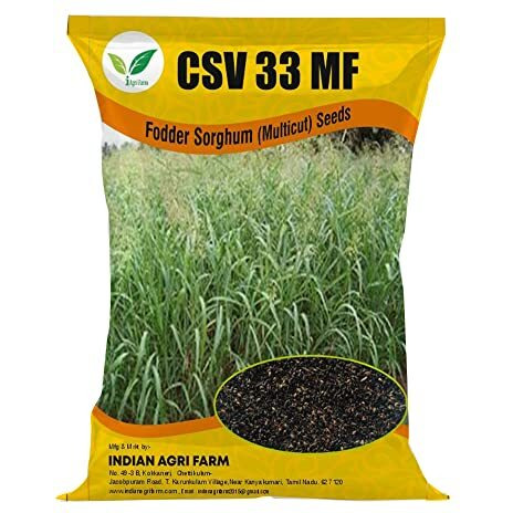 Iagrifarm Csv 33 Mf Fodder Sorghum Seed - 1 Kg - Multicut For Fodder Cultivation