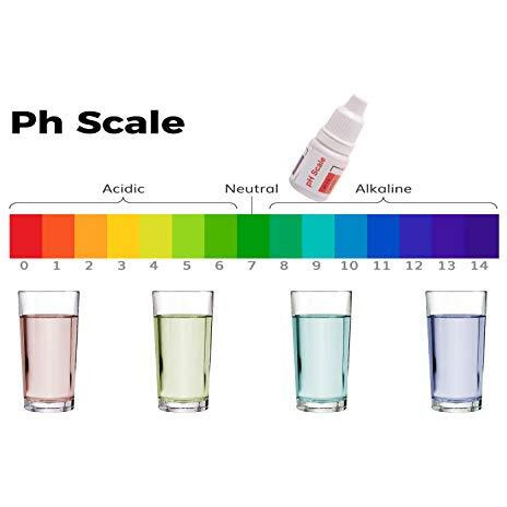 Konvio Neer Ph Drop For Ph Testing And Alkaline Level, For Ph Water Testing With Ph Color Chart, Ph Test Kit, Litmus Liquid (2 Bottle)