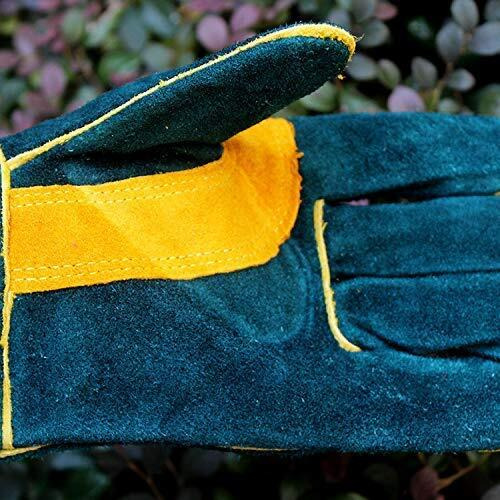 Jupiter Industries Animal Handling Leather Gloves Kevlar Gauntlet For Saftey Against Cats, Dogs, Reptile, Birds, Snakes (16 Inches - (Pack Of 1 Pair), Green-Yellow)