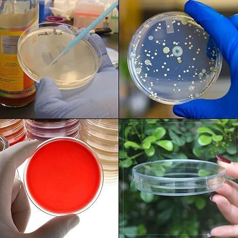 Phoenix Instrument Borosilicate Glass Petri Dish, Diameter (100Mm), Height (15Mm), Pack Of 10 Pcs