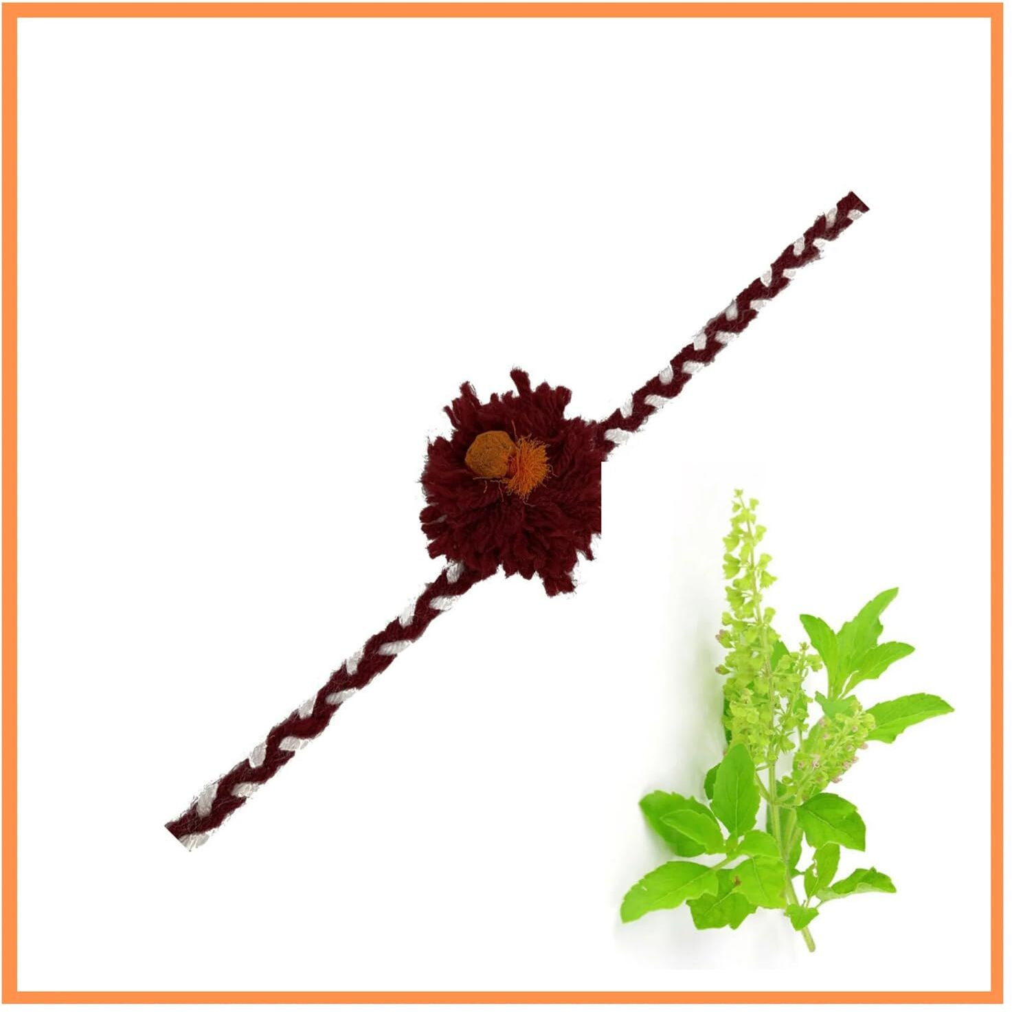 Chottey Lal And Sons Rakshabandhan Eco-Friendly Plantable Rakhi With Seed For Kids And Teenagers Brothers | Natural Plantable Rakhi With Embedded Seed For Plantation - (Set Of 5, Color May Vary)