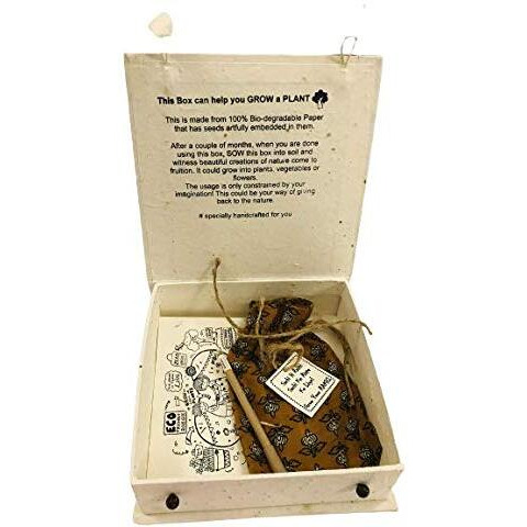 Surprise Someone Plantable Rakhi Kit 8X 8X 2 With Plantable Eco Friendly Organic Rakhi