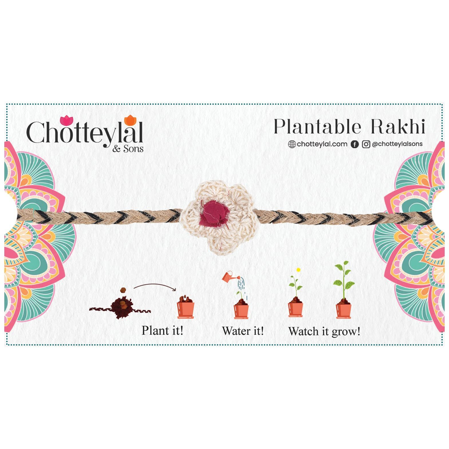Chottey Lal And Sons Rakshabandhan Special Multicolor Rakhi With Seed, Rakhi For Brother/Men, Natural Plantable Rakhi With Seed (Set Of 1)