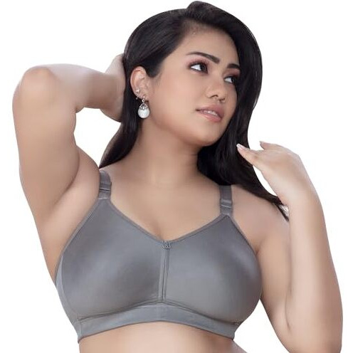 Trylo Riza T-Fit-34-Grey-D-Cup