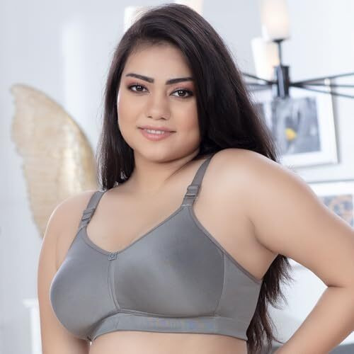Trylo Riza T-Fit-34-Grey-D-Cup