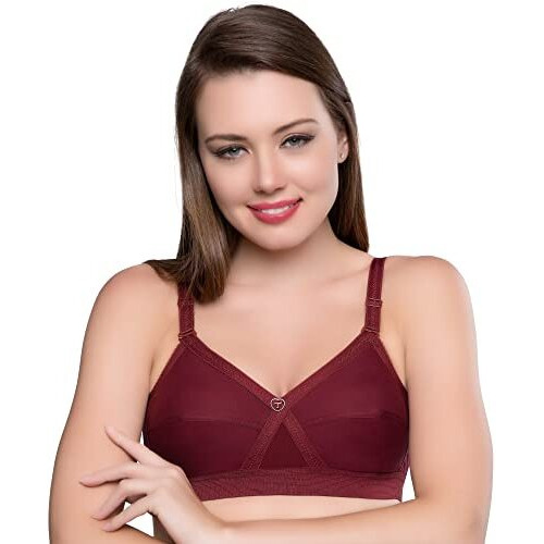 Trylo Women's Non-Wired Bra (Krutika-102_Maroon_32E)