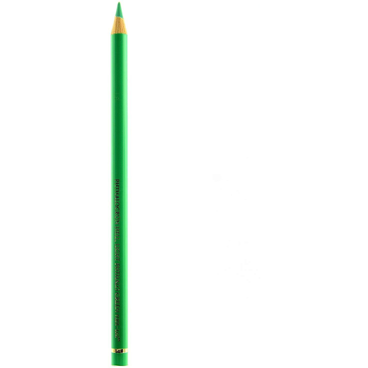 Faber-Castell Polychromos Artist Colour Pencils Light Phthalo Green