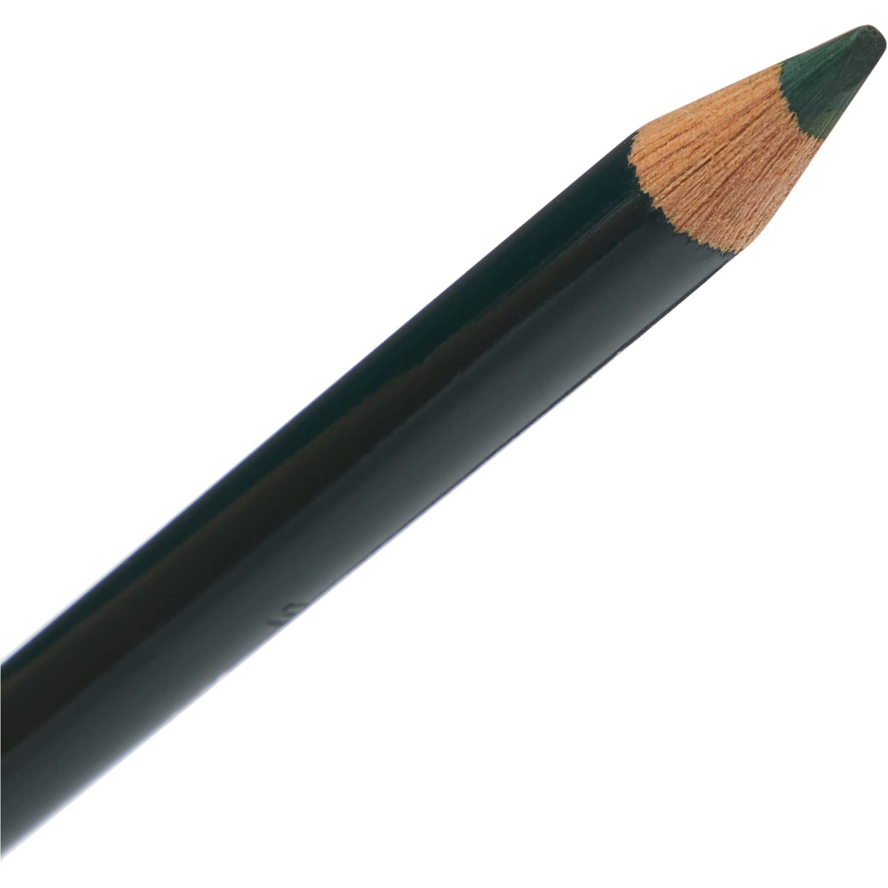 Faber-Castell Polychromos Artist Colour Pencils Pine Green