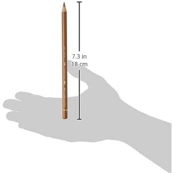 Faber-Castell Polychromos Artist Colour Pencils Raw Umber