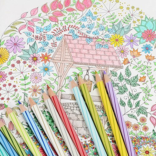 Staedtler Luna Water Colour Pencil Set - Pack Of 12