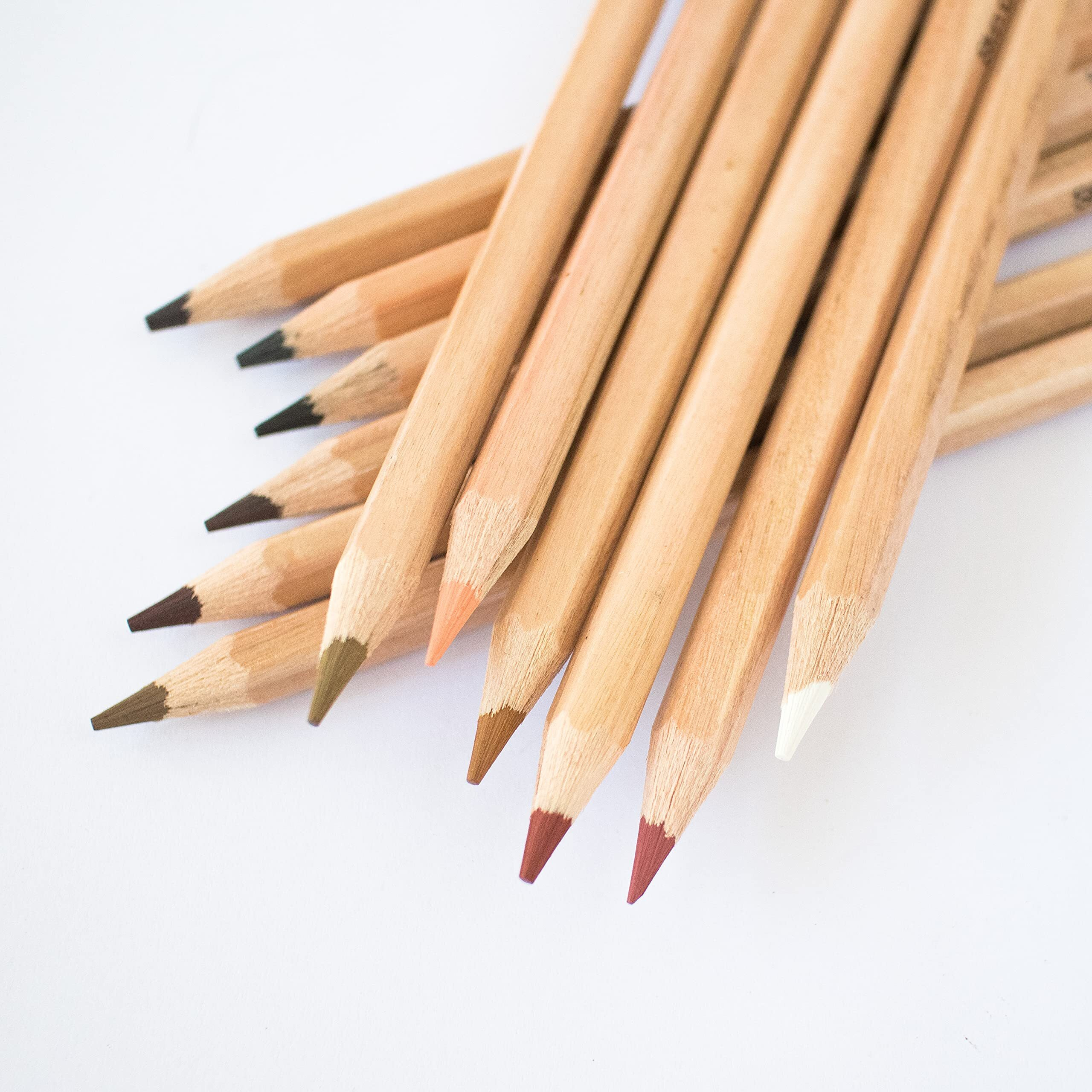Mont Marte Artist Skin Colouring Pencils For Expressive Portrait Drawings Perfect For Beginners And Professionals, Children And Adults -Set Of 12 Pieces