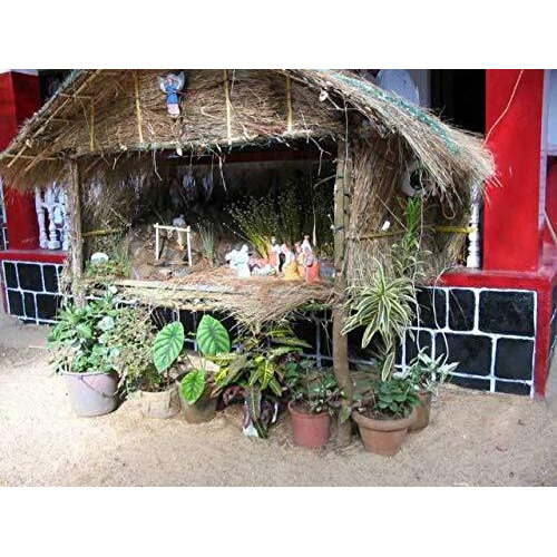Mats Avenue Manually Extracted Natural Hay 450 Grams And 10 Meter Jute Twine For Making Christmas Crib (450 Grams)