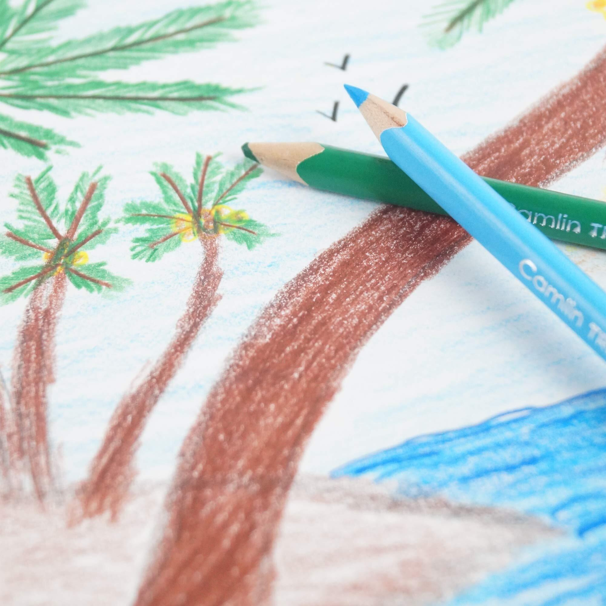 Camlin Triangular Colour Pencils - 12 Shades (Multicolor)