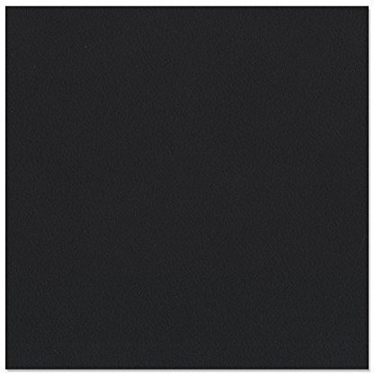 Thecraftshop 410 Gsm Black Cardstock - 10 Pieces