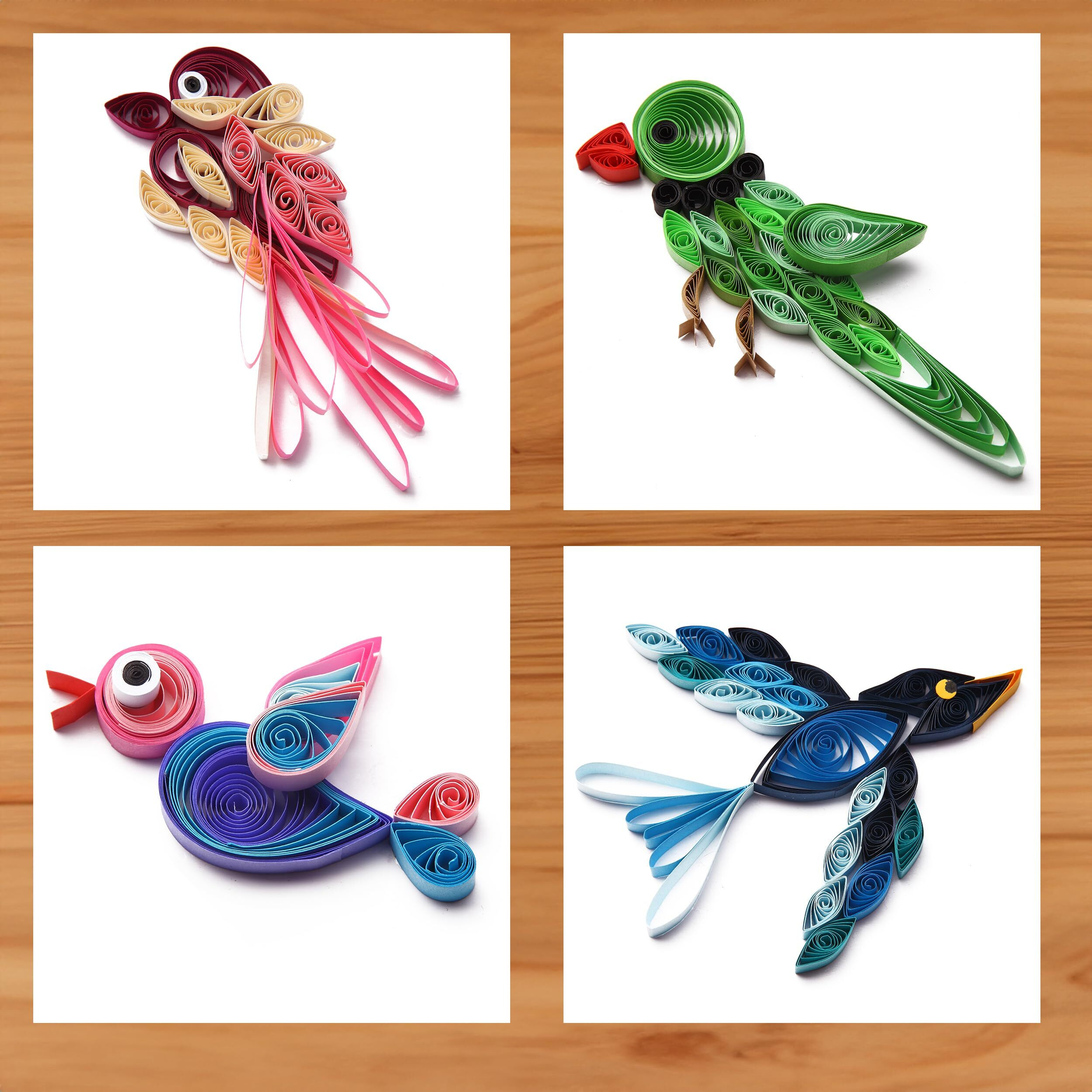 Toy Fun The Art Of Paper Quilling Bird Series Art And Craft For Kids | Diy Kit Set For Young Artist Age 5 Years And Above.Gift For Creative Girls