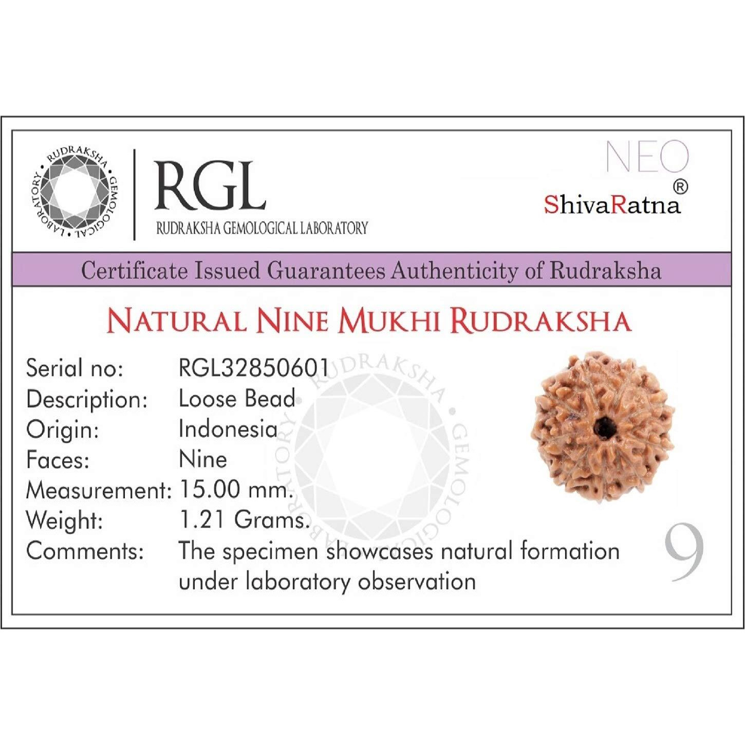 Shivaratna 9 Mukhi Rudraksha Made In Silver Metal Lab Certified (Origin - Java) Hand Picked Matured Rudraksha Bead