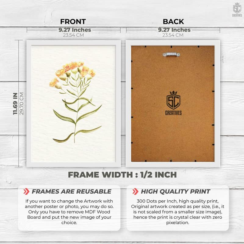 Sc Creatives Set Of 4 Vintage Botany Floral Wall Frame | Wall Decor | 12 X 9 Inches | Ready To Hang