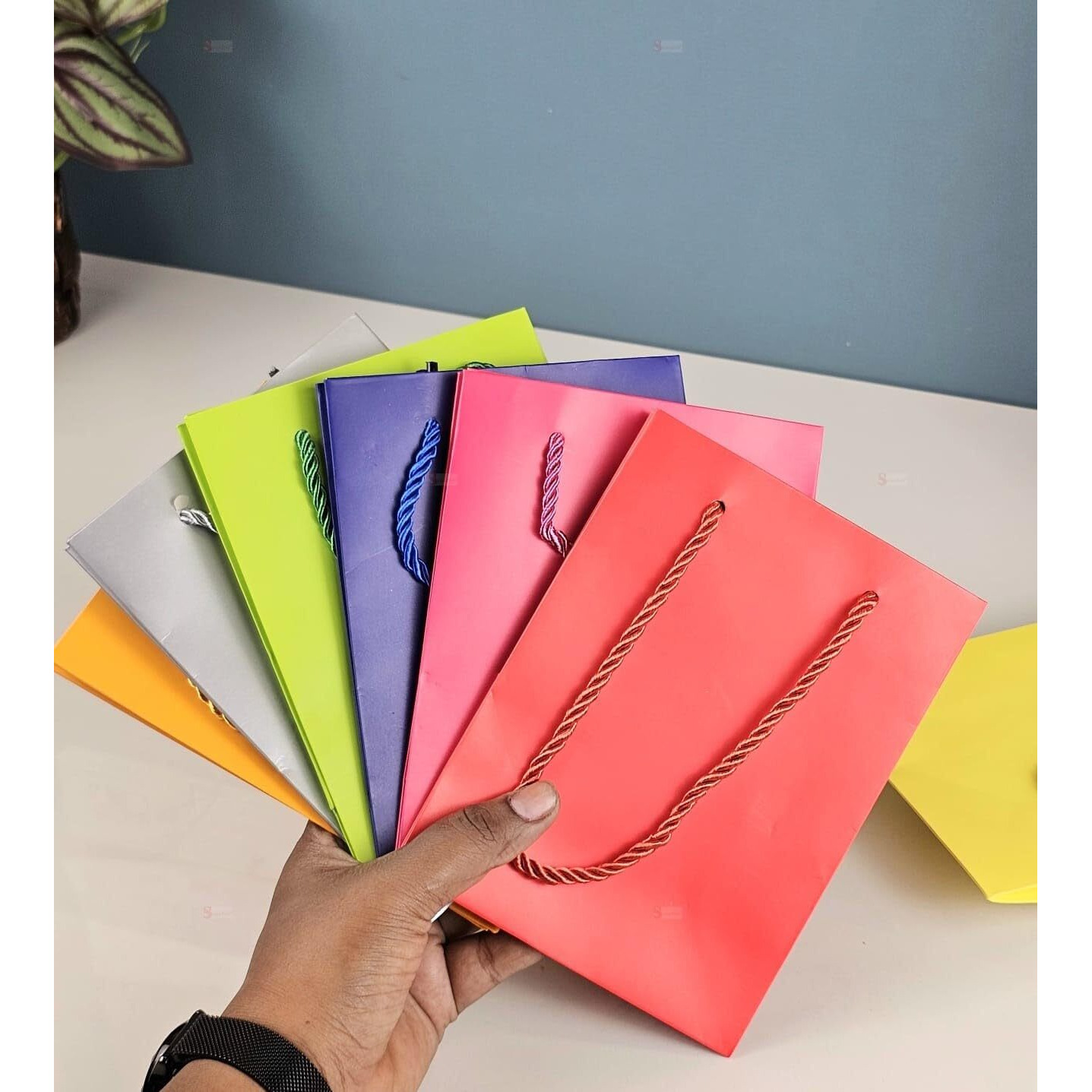 Satyam Kraft 6 Pcs Paper Gift Bags With Handles | Gift For Her/Him, Mothers Day Gifting, Bags,Wedding Return Gifts, Birthday, Shopping & Party | Eco-Friendly Reusable Bags (16 X 12 Cm, Multicolor)