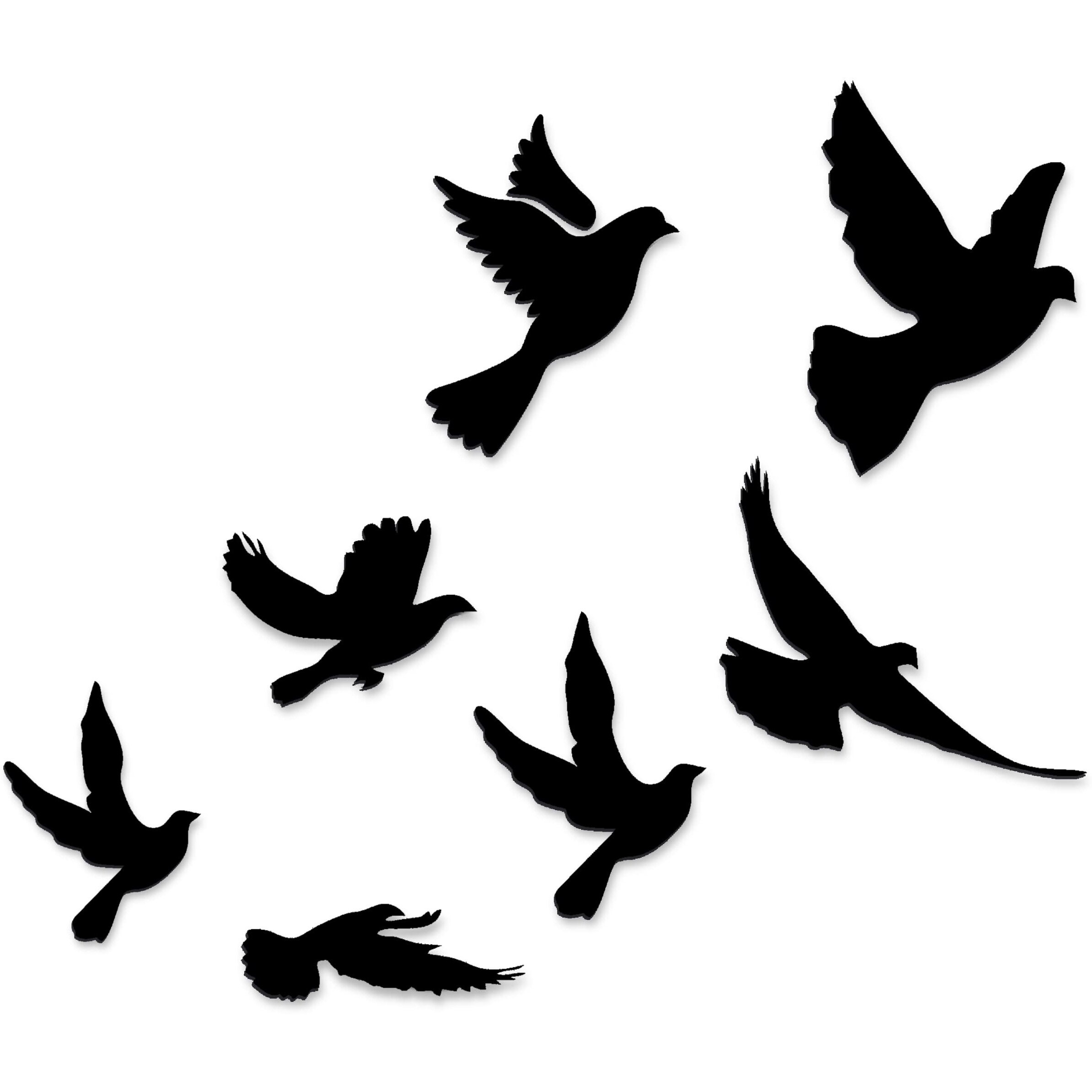 Vah- Kya Bat Hai Black Birds Acrylic Wall Hangings For Home Decoration, Interior Decoration Items, Wooden Wall Decor, Home Decor Items For Living Room, Cafe Decoration Items (60Cm X 50Cm Black)