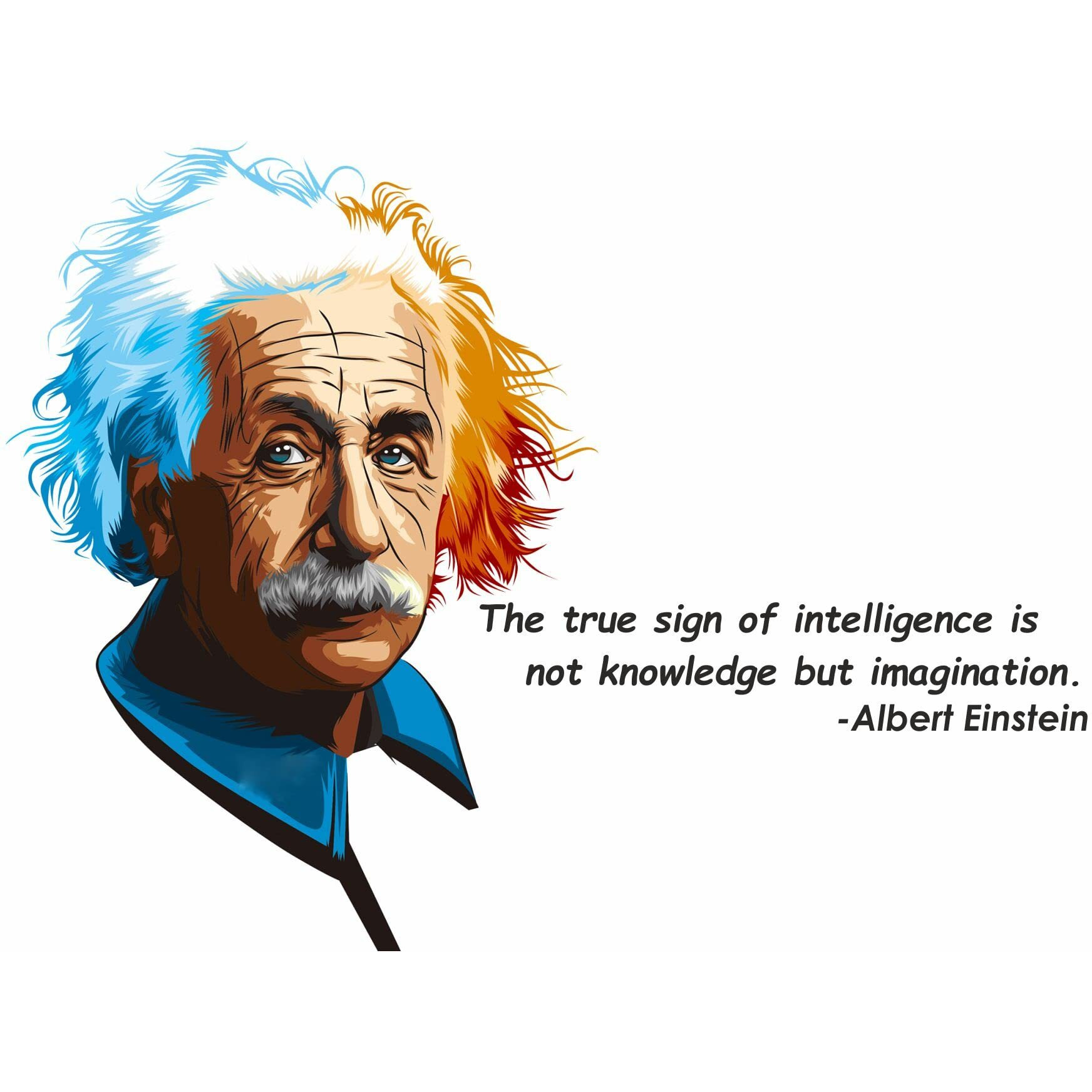 Sticker Yard Albert Einstein Imagination Quote Vinyl Wall Sticker For Living Room/Bedroom/Office And All Decorative Wall Stickers Size 76X55Cm