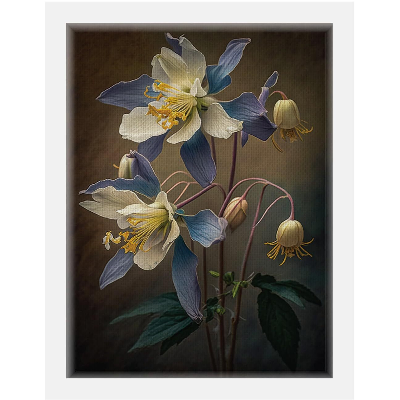 Uncover Mystery Flower Print On Polyster Canvas Framed, Wall Art For Home, Office, Living Room Wall Decoration, (Size - 9.75 X 13.25 In), Frame Color  -White-123