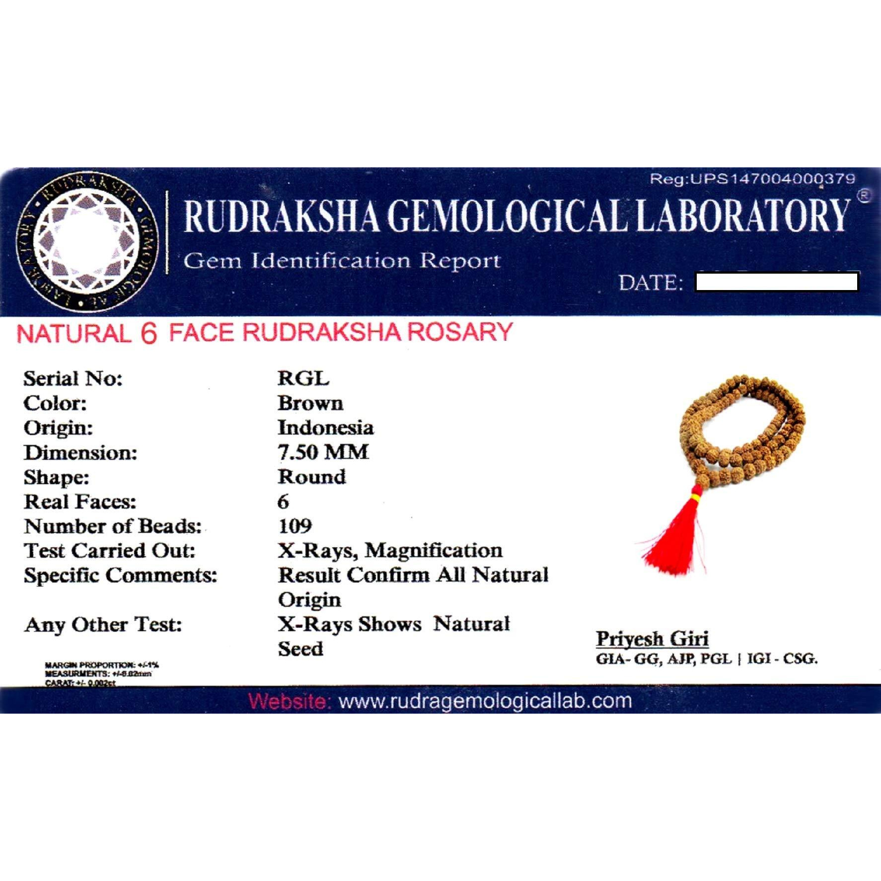 Shivaratna 6 Mukhi Rudraksha Mala 108+1 Beads Certified (35 Cm Length Approx)