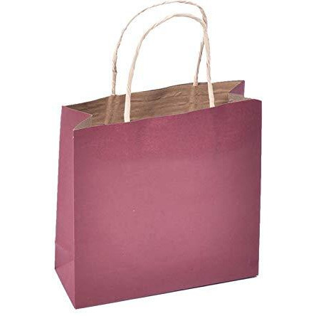 Sapco Gift Paper Carry Bag Pack Of 10(Solid Brown)