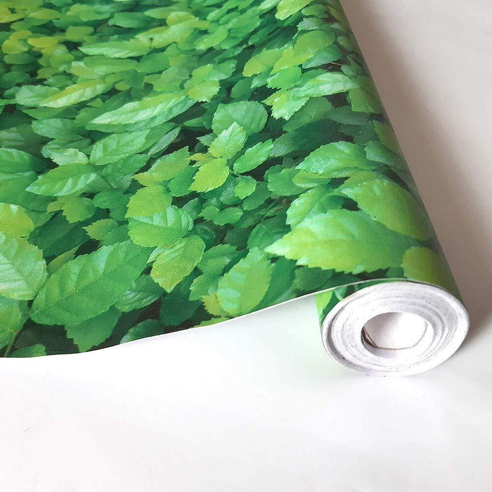 Univocean Modern Green Garden Leaves Wallpaper, 3D Wall Poster, Wall Sticker For Home, Pvc Self Adhesive For Living Room, Hall, Garden Home Decoration Stickers (500 X 45 Cm)