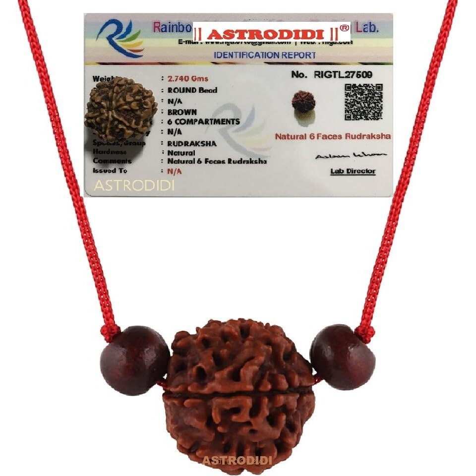 Astrodidi 6 Mukhi Rudraksha | Certified Nepali Six Face Rudraksh With Two Red Chandan Beads In Red Thread With Lab Certificate (Colour Brown, Shape Round)