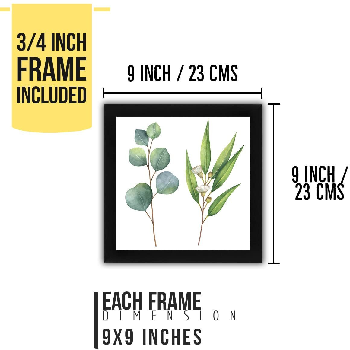 Interio Crafts Botanical Decor Wall Art For Living Room (Frame  9 X 9 Inch, Poster  8 X 8 Inch)