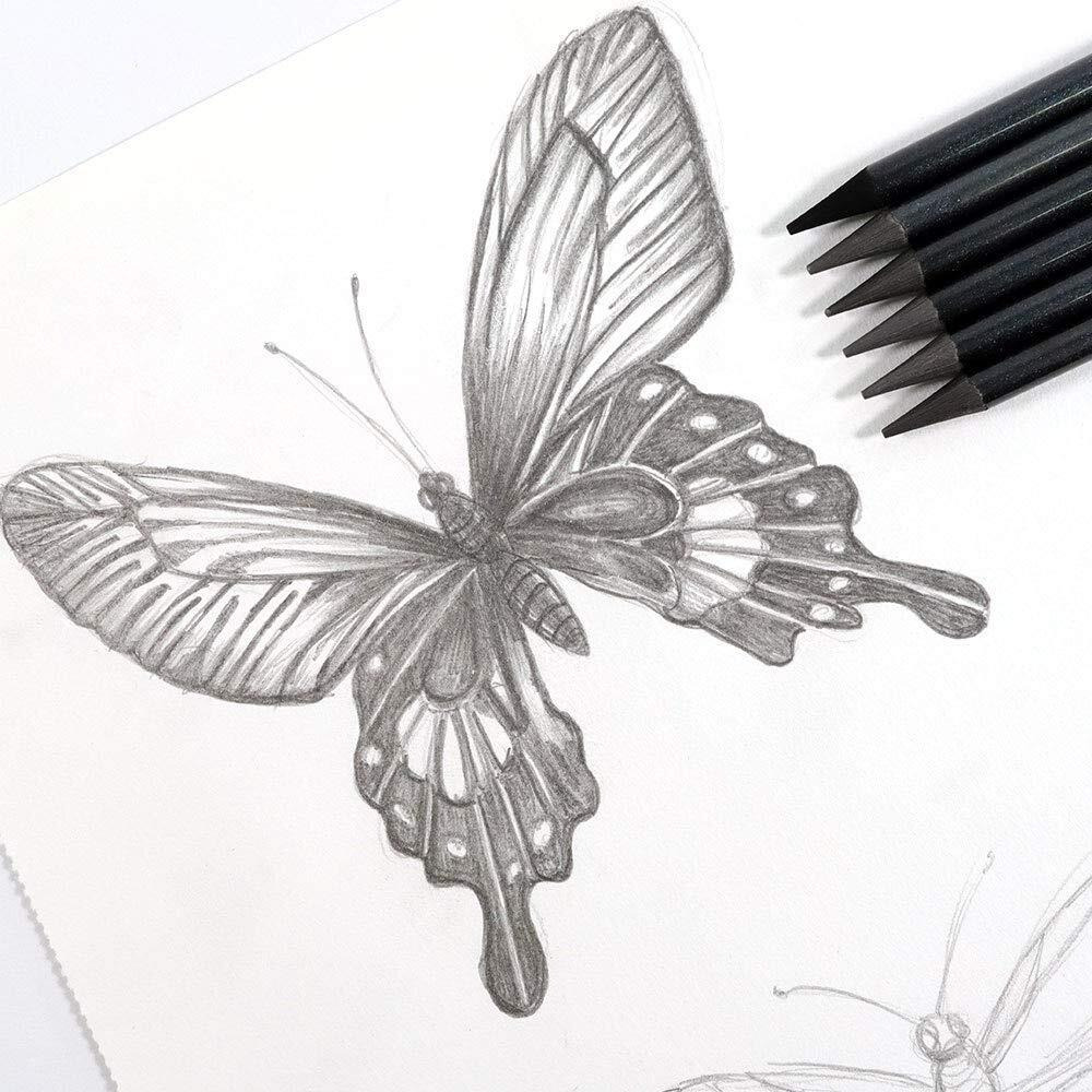 Artbee Woodless Graphite Pencils 6 Piece (Hb, 2B, 4B, 6B, 8B And Ee), Suitable For Sketching, Drawing And Shading
