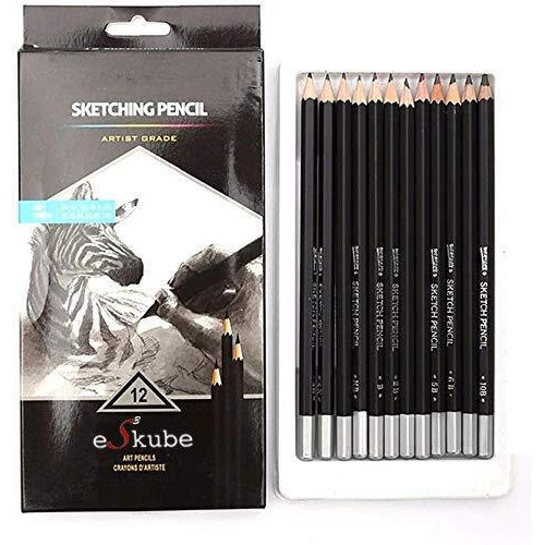 EsKube Artist Quality Fine Art Drawing & Sketching Pencils - Set Of 12 Pencils (6H, 4H, 2H, Hb, B 2B, 3B, 4B, 5B, 6B, 8B, 10B)