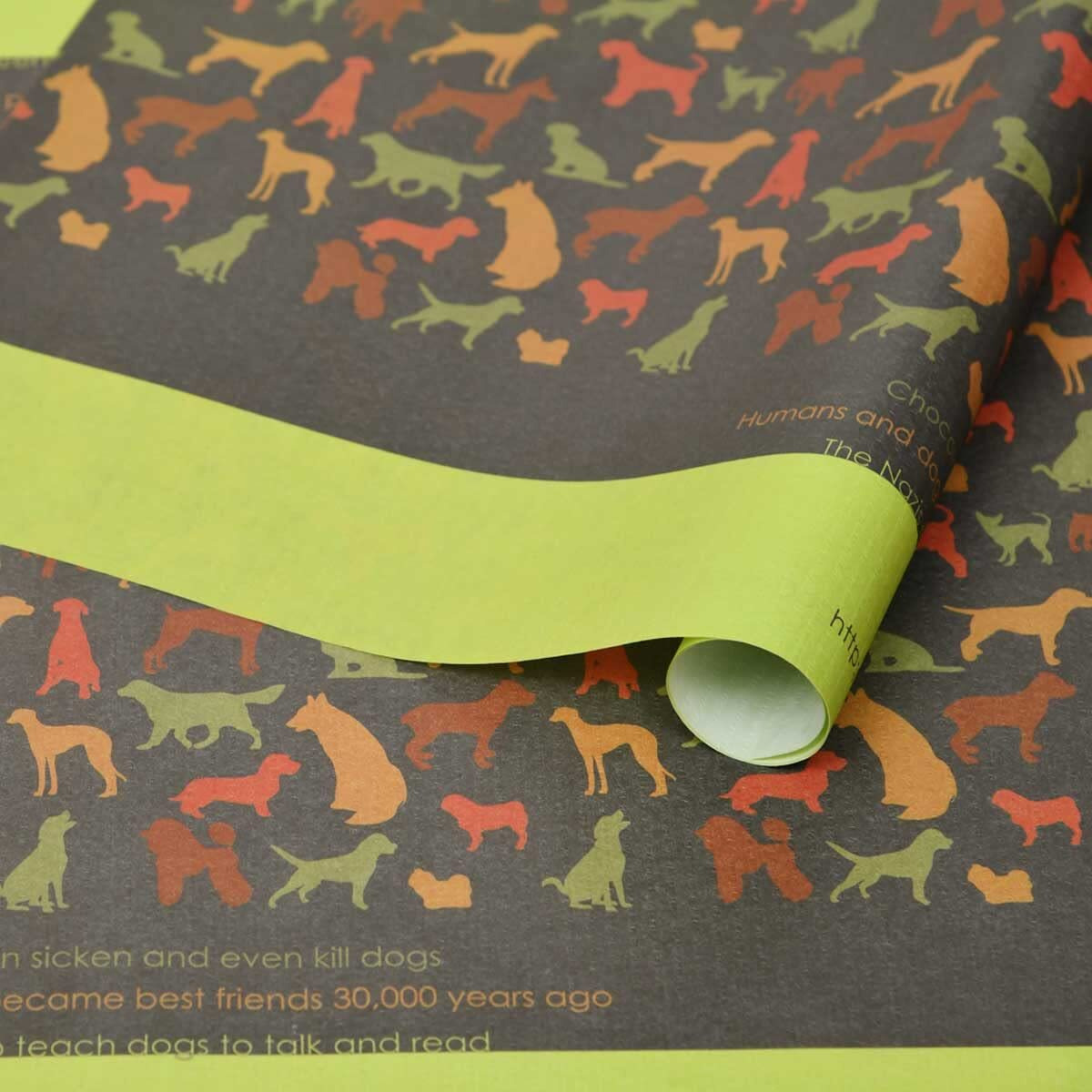 Evince 25 Gift Wrapping Paper Roll Sheets | Reversible Use With Solid Orange Floral Pattern Brown | 50 X 70 Cms Recyclable Wrapper | Birthday Anniversary Theme Christmas Diwali New Year Gifts