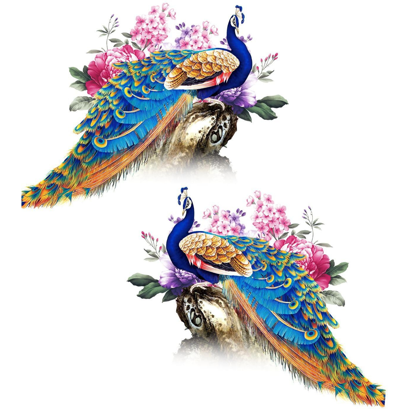 Sticker Yard Beautiful Peacock Decor Kids Room Decor, Hall Decor, Kitchen Decor, Living Room Decor,Bedroom Decor Vinyl Wall Sticker,Multicolor (Standard Size -91X40Cm)