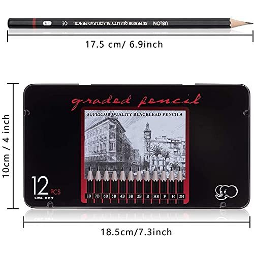 Inovera (Label) 12 Set Professional Drawing Art Sketch Graphite Pencils With Metal Case 2H, H, F, Hb, B, 2B, 3B, 4B, 5B, 6B, 7B, 8B (Pack Of 1, Black)