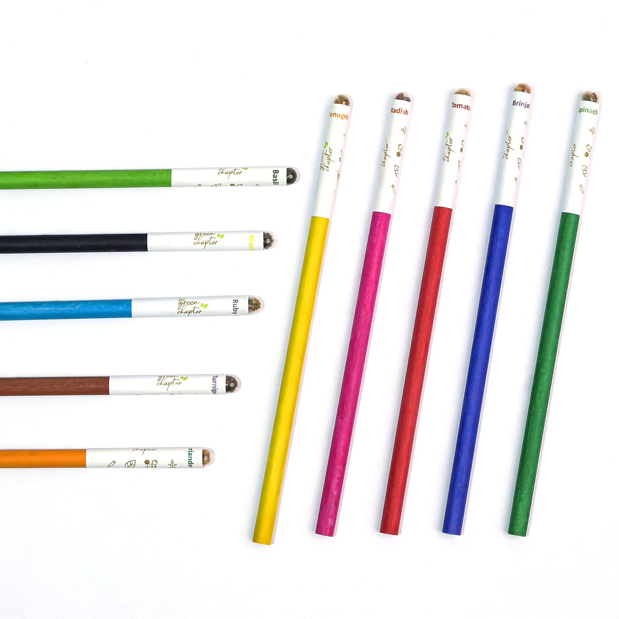 The Green Chapter - Plantable Seed Paper Pencil Set Of 10 Paper Pencils Recycled Seed Pencils Reusable Gift Set For Kids Multicolor