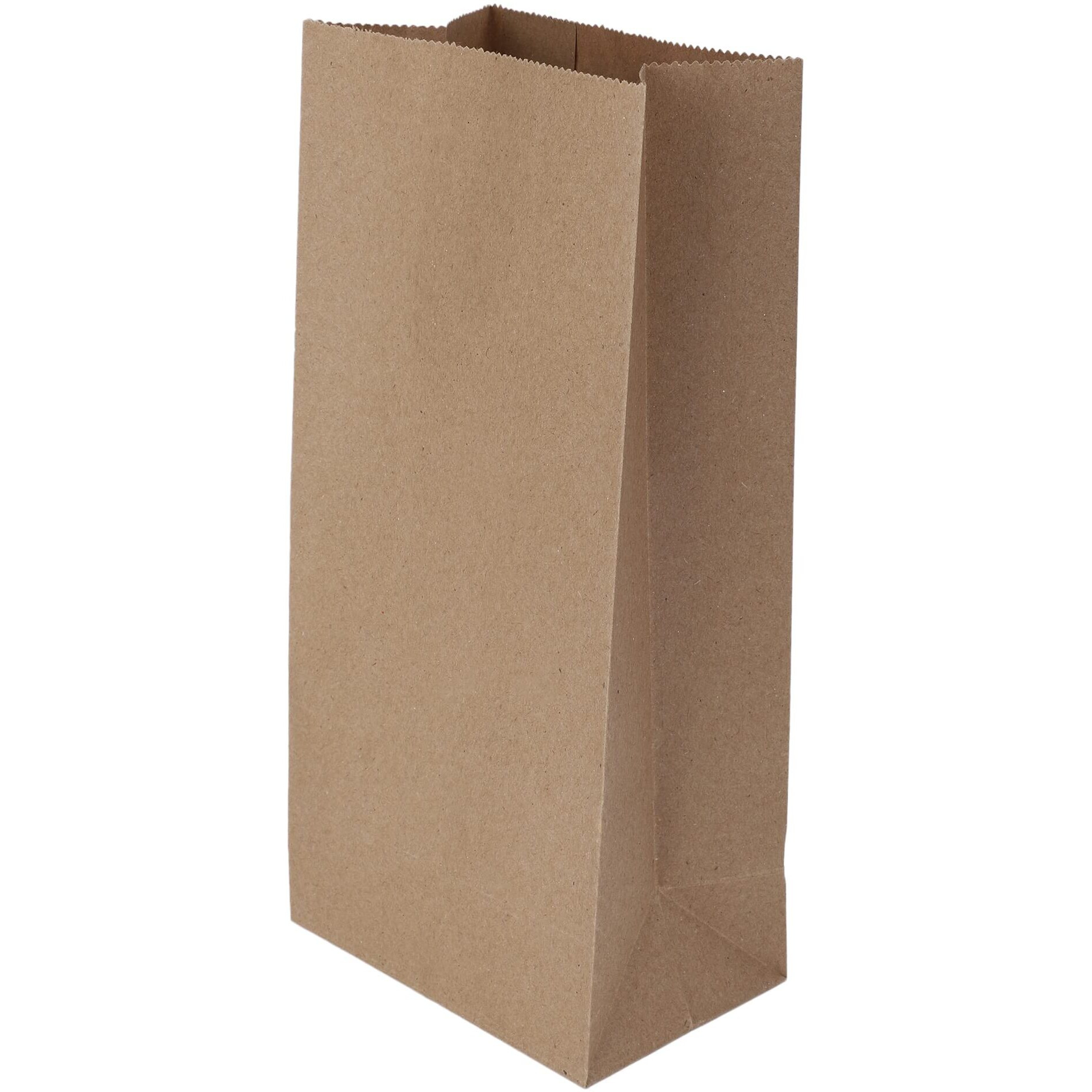 E Kysa Basics Brown Kraft Paper Carry/Gift/Cloth/Grocery Recycled Eco Friendly Bags - 5 * 3 * 10 Inches Pack Of 15 Pcs