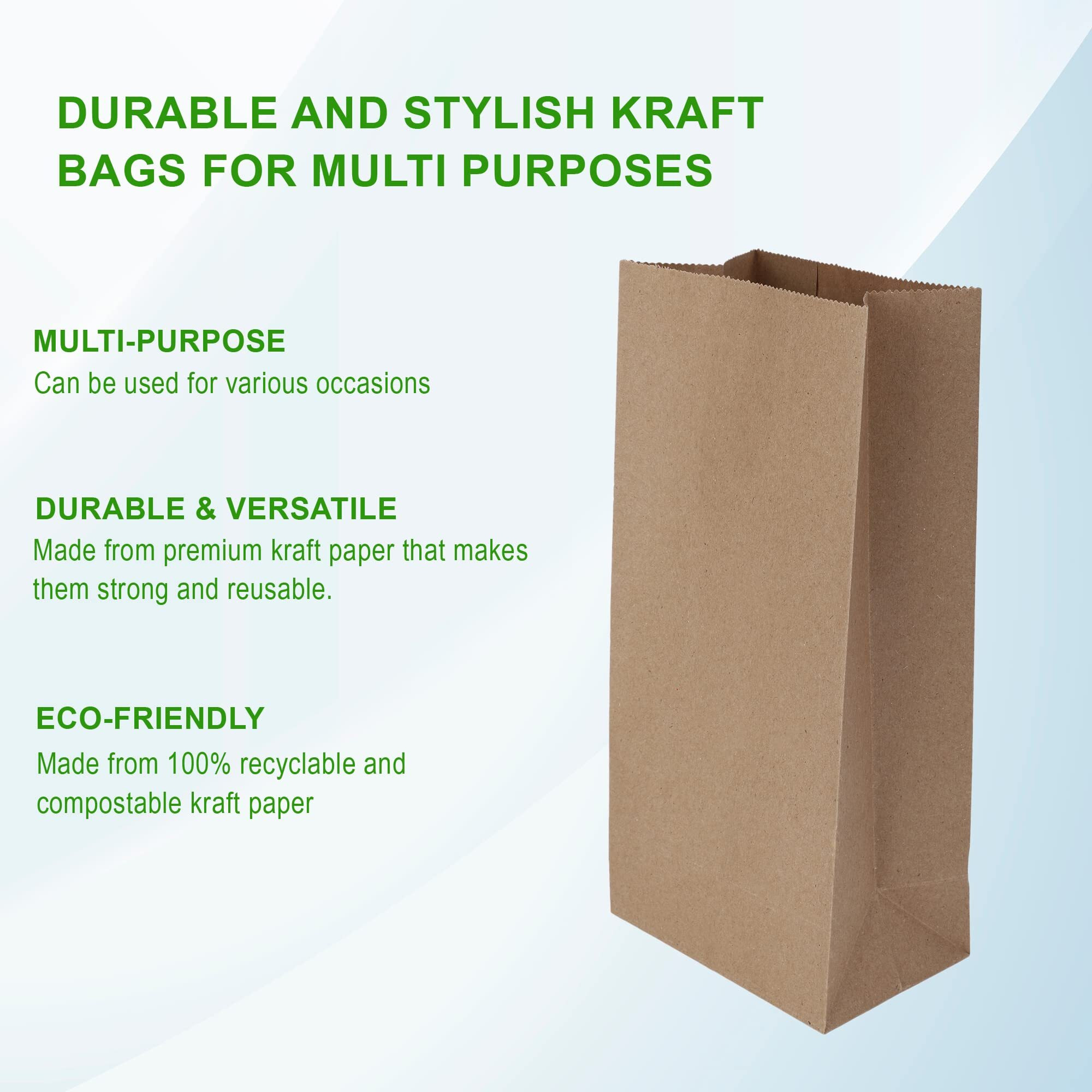 E Kysa Basics Brown Kraft Paper Carry/Gift/Cloth/Grocery Recycled Eco Friendly Bags - 5 * 3 * 10 Inches Pack Of 15 Pcs