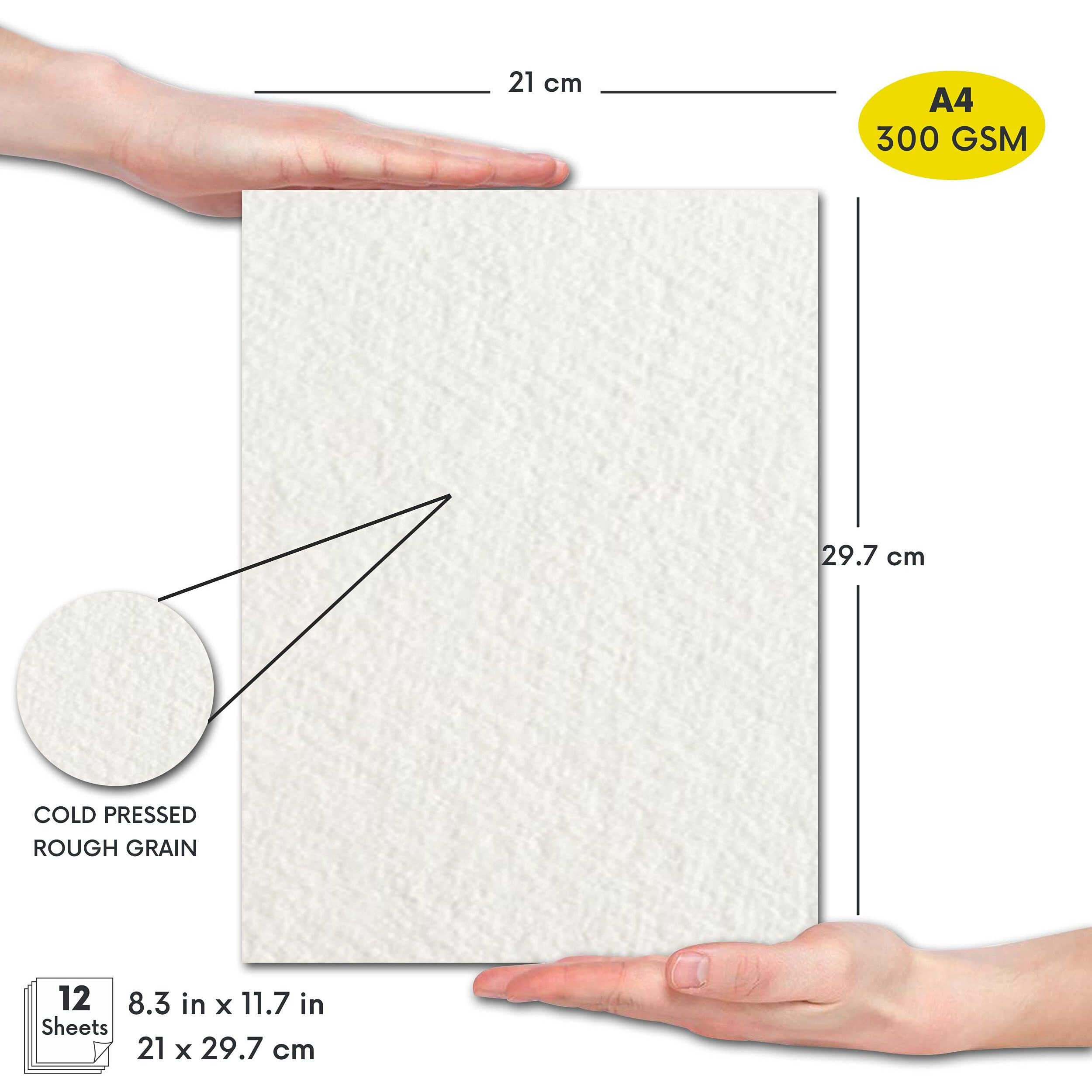 Zen Sangam Express Your Mind 300 Gsm, Cold Pressed Rough Grain Surface, Lignin-Free Cellulose, Acid Free, A4 Size Watercolor Papers (21X29.7Cm, 12 Sheets)