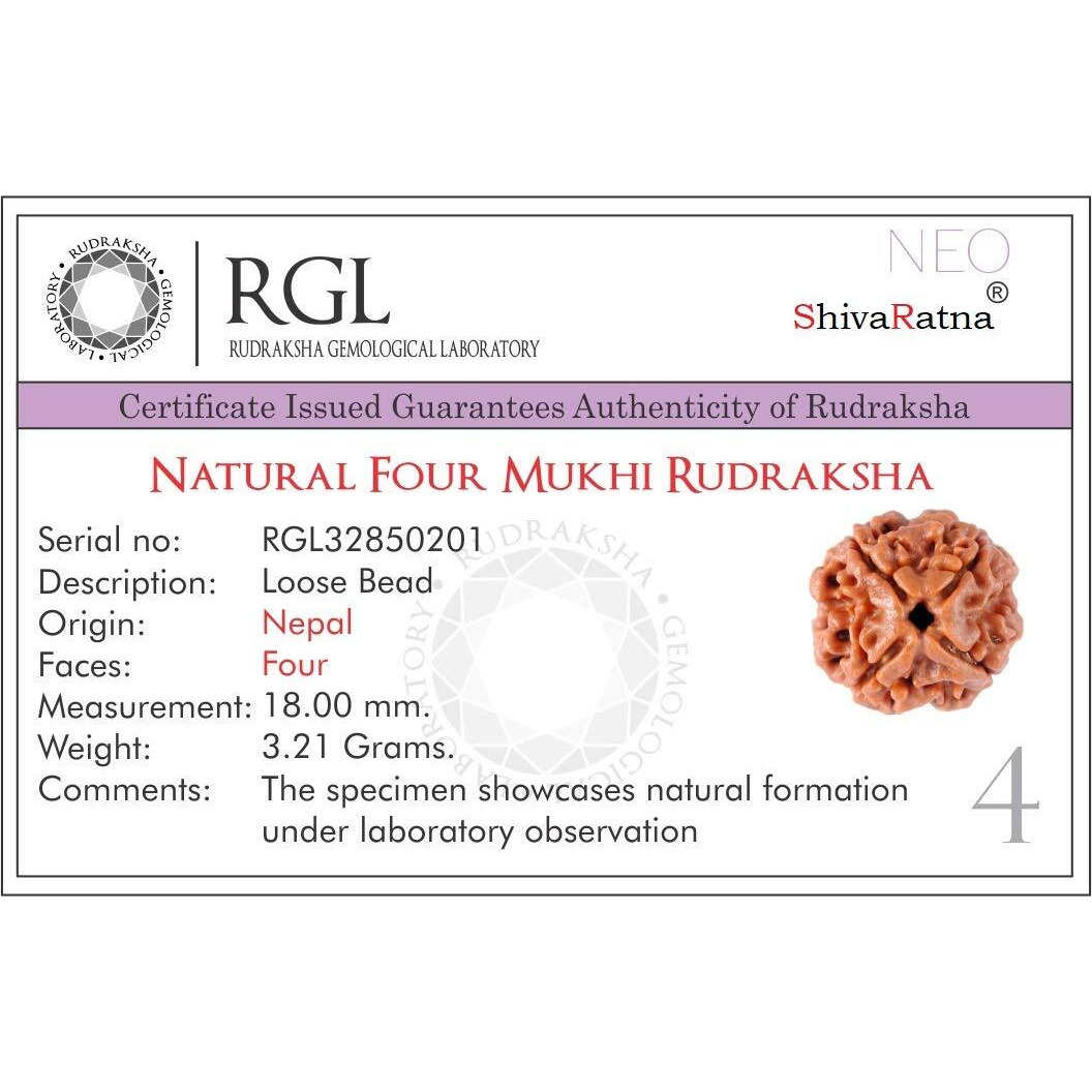 Shivaratna 4 Mukhi Lab Certified Rudraksha (Origin Nepal) Good Shape & Matured Bead