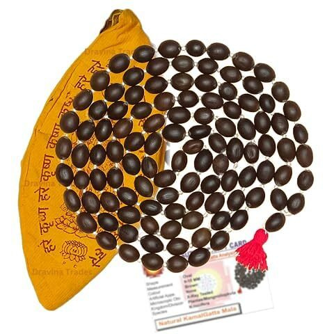 Dravina Trader Original Kamal Gatta Mala | Lotus Seed            |Lotus Seeds   Thamarai Mani Malai Lakshmi Puja Laxmi Sadhna Siddhi (Pack Of 2)