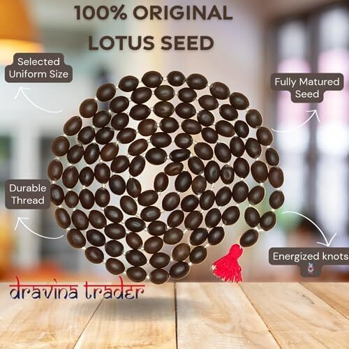 Dravina Trader Original Kamal Gatta Mala | Lotus Seed            |Lotus Seeds   Thamarai Mani Malai Lakshmi Puja Laxmi Sadhna Siddhi (Pack Of 2)