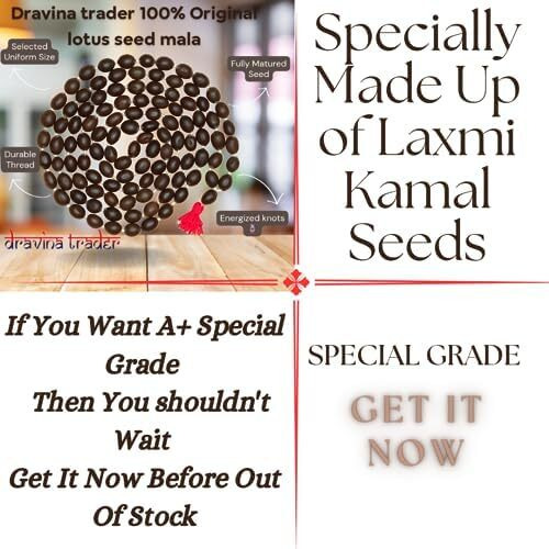 Dravina Trader Original Kamal Gatta Mala | Lotus Seed            |Lotus Seeds   Thamarai Mani Malai Lakshmi Puja Laxmi Sadhna Siddhi (Pack Of 2)